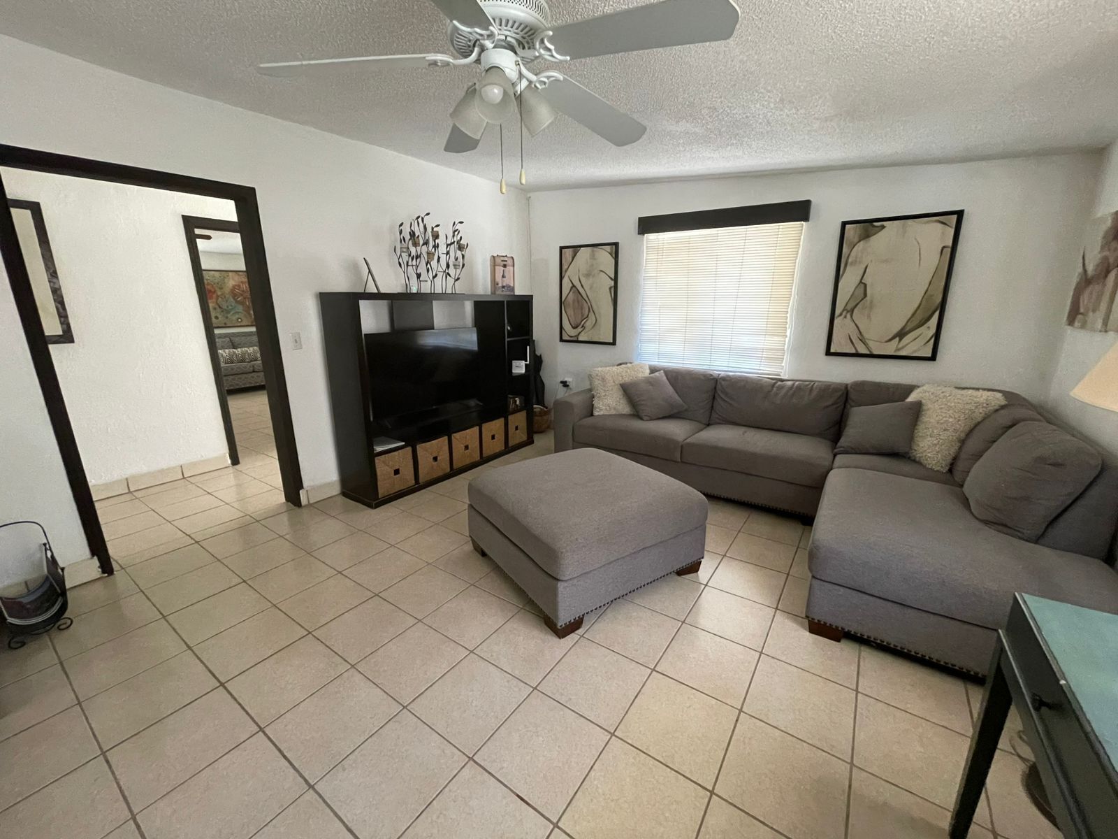 Smart TV, fireplace, books