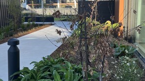 A modern building with a flat roof, large windows, and a well-maintained garden with various plants. - Inner City Apartment - Prime location! (Christchurch)