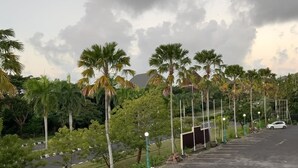 A parking lot with palm trees and a building in the background. - Rumah WJ Room and Suites (Pecatu)