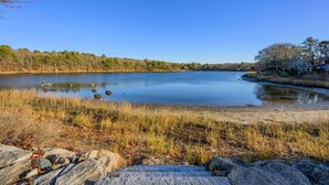 Ein ruhiger See unter blauem Himmel, umgeben von Bäumen und ein paar Häusern in der Ferne.