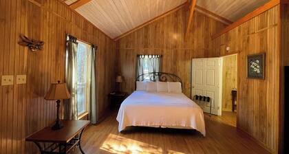 Comfortable 1-Bedroom Cabin with Full Kitchen, Vaulted Ceiling & Outdoor Space