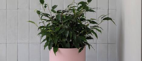 A potted plant in a pink pot on a white surface against a tiled wall.