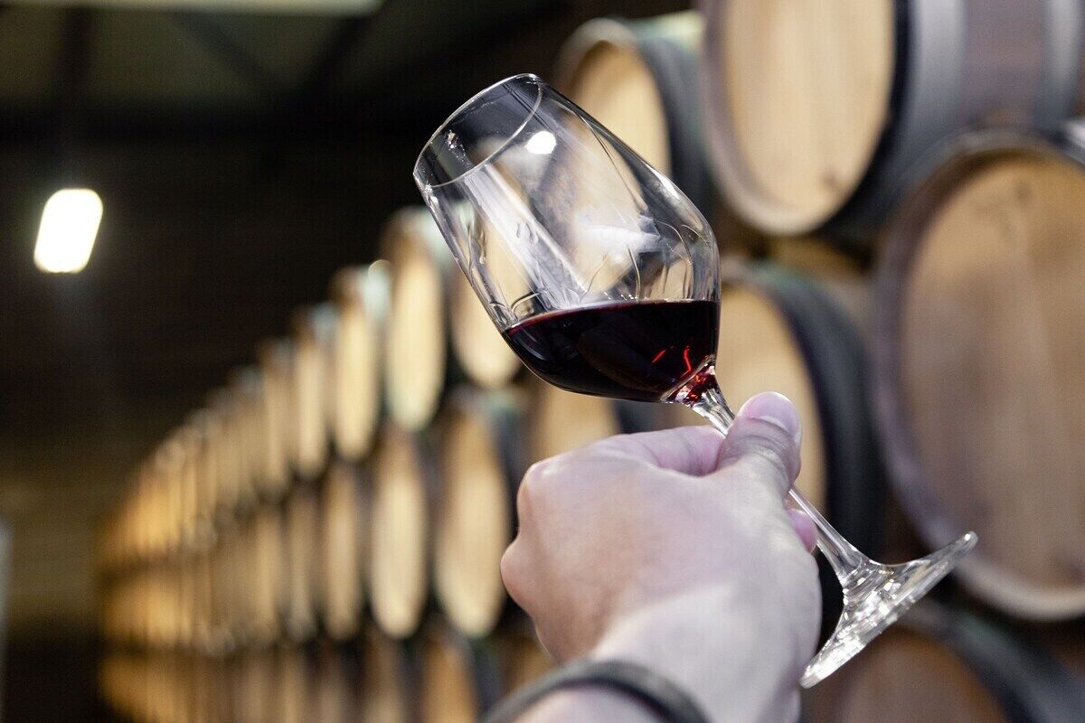 A hand holding a wine glass with red wine, in front of wooden barrels.