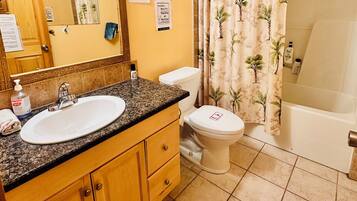 Hair dryer, towels, soap, toilet paper