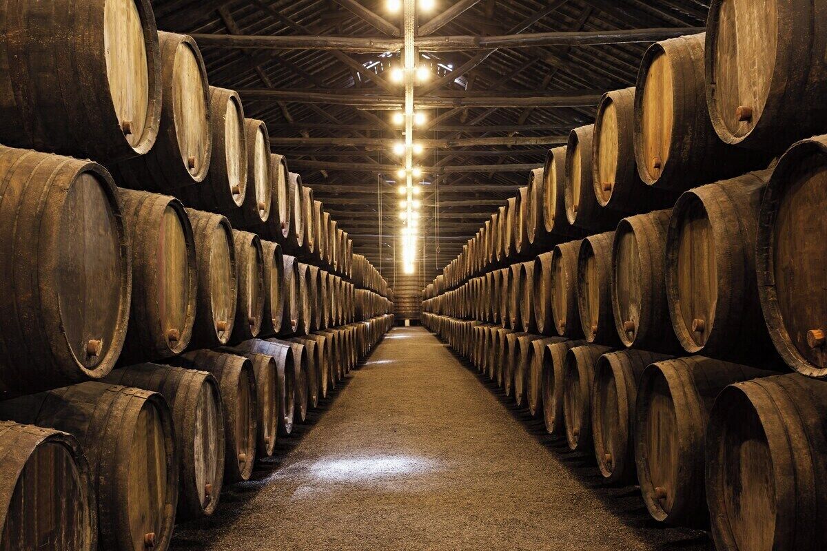 A long corridor lined with wooden barrels, suggesting a storage or aging facility.