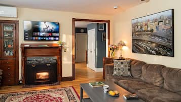 Televisión, chimenea y libros