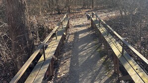 A wooden pathway with benches leading through a wooded area. - Tremendous 3-bedroom townhome with close to Cave Hollow Park in Warrensburg (Warrensburg)