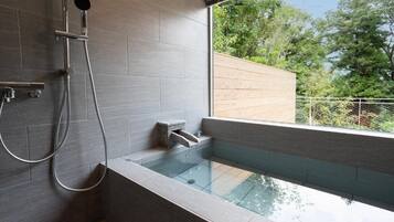 House, Courtyard View | Spa