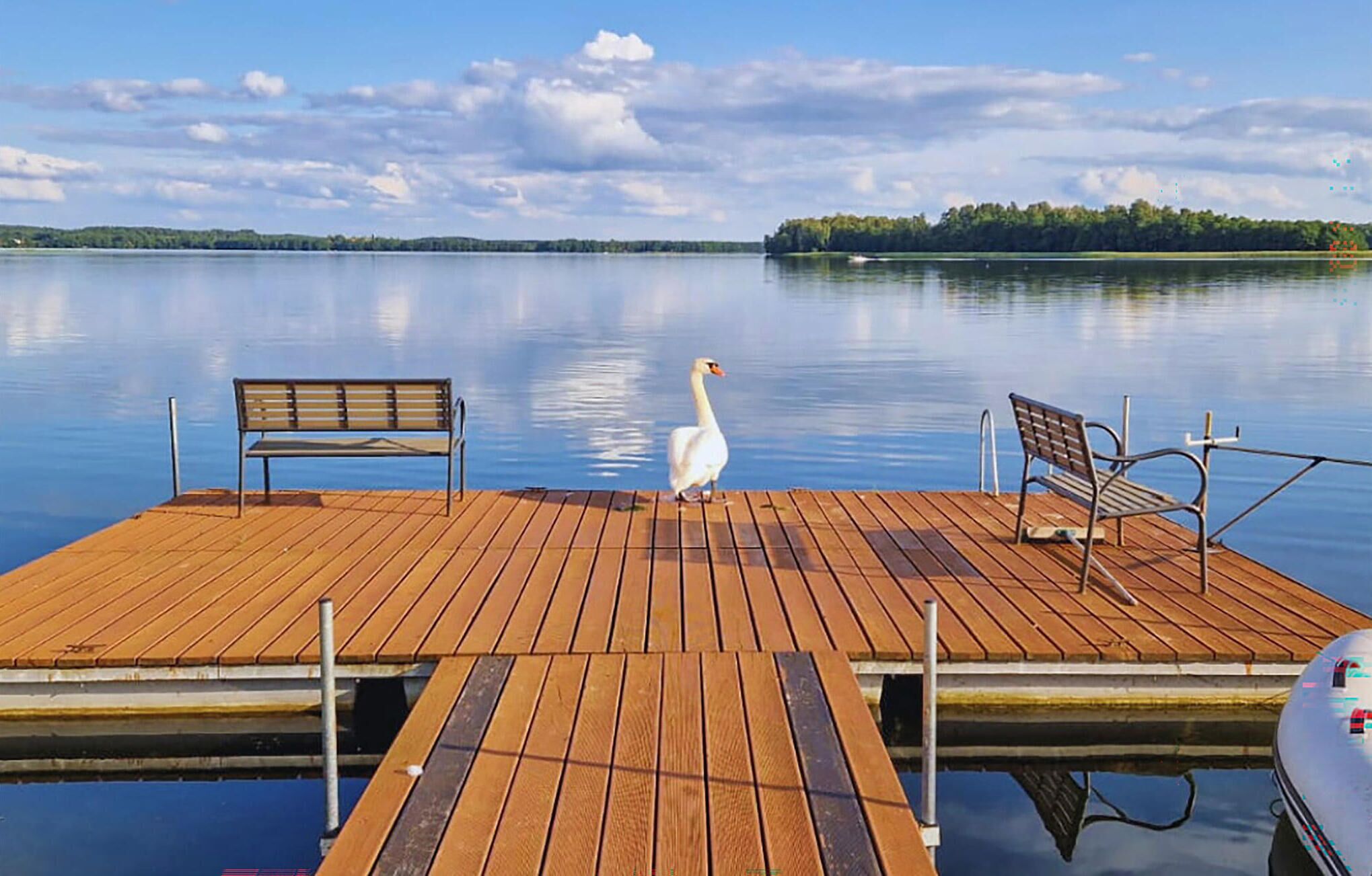 Um cais de madeira com bancos, um cisne e água calma refletindo o céu.
