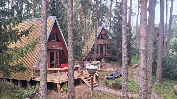 Dos cabañas de madera con techos inclinados, rodeadas de árboles altos.