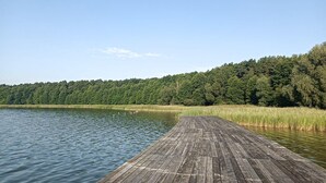 Une jetée en bois s’étendant sur un lac paisible, entourée d’une forêt dense.