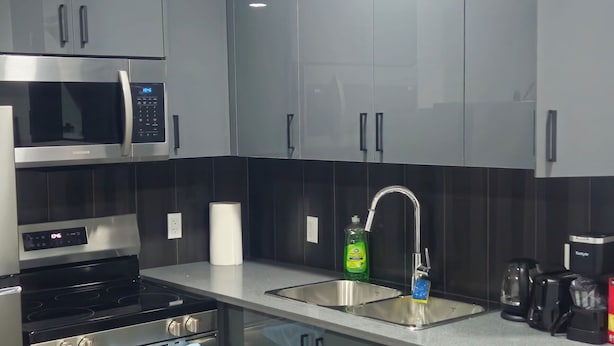 A modern kitchen with stainless steel appliances, a built-in oven, and a dishwasher. - Your home away from home—comfortable, and calm. proximity to popular attractions (Edmonton)