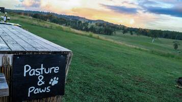 A sign reading 'Pasture & Paws' on a wooden structure.