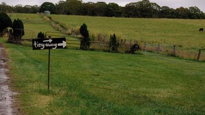 A rural landscape with a directional sign pointing 'tiny away' and a cow in the distance. - Pasture and Paws by Tiny Away (Shannon Brook)