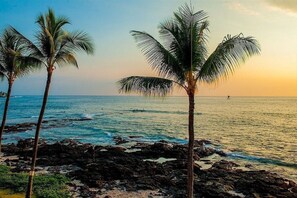 A beach with palm trees and rocky shoreline. - Kona Reef Oceanfront 2-bedroom/2-bathroom condo D11 in beautiful Kailua-Kona (Kailua-Kona)