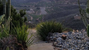Vista panorámica con cielo despejado, montañas distantes y un sendero que atraviesa un jardín con cactus y rocas.