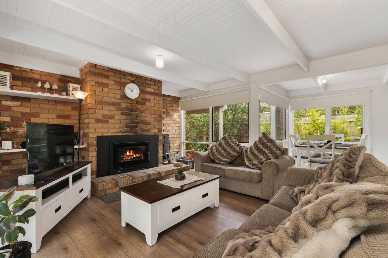 TV, fireplace, books