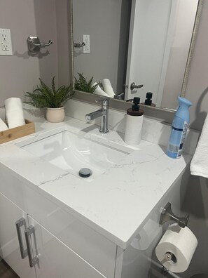 Secador de cabelo, toalhas de banho, sabonete, shampoo