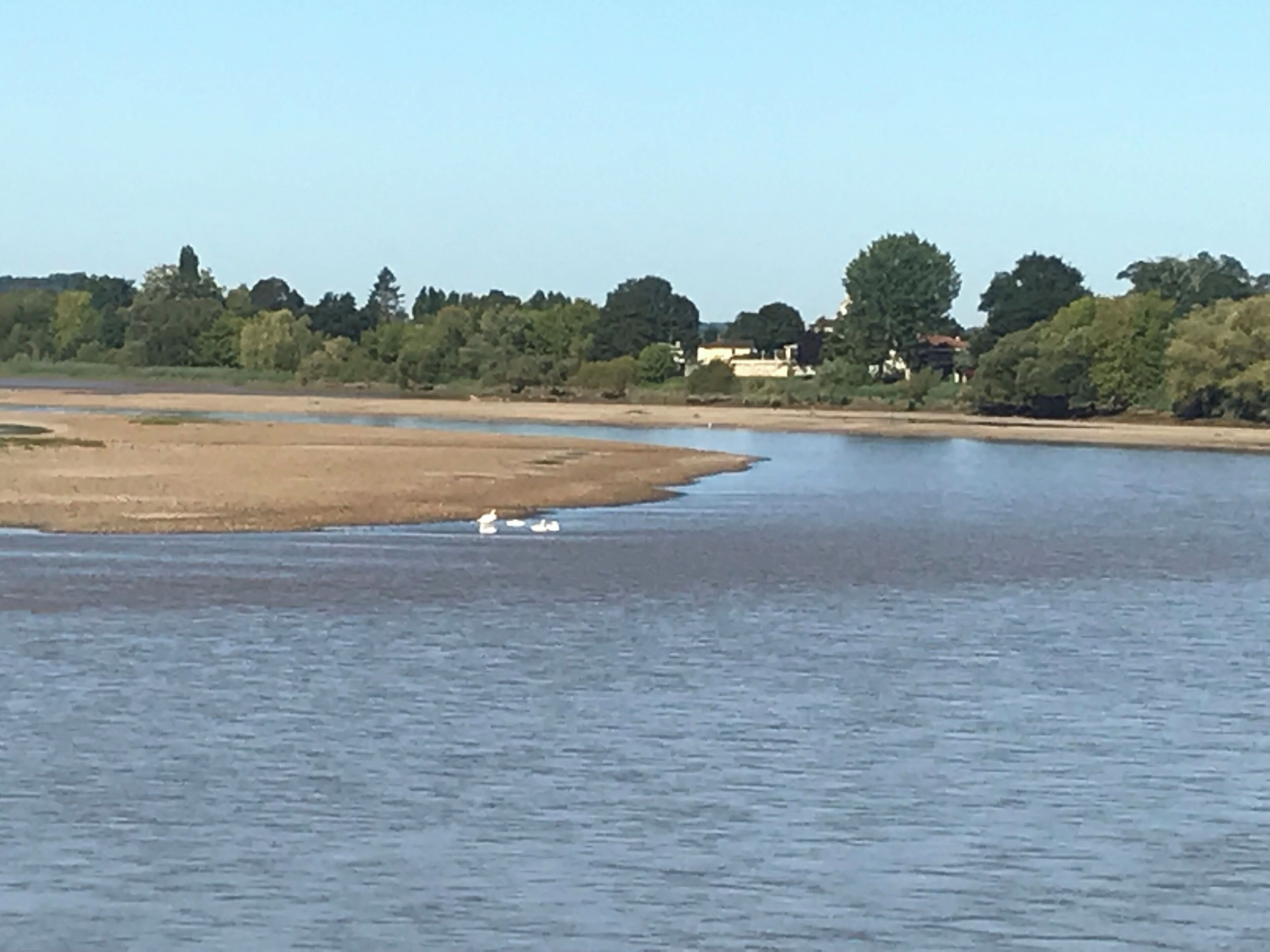 A river with a sandy bank and trees in the background.