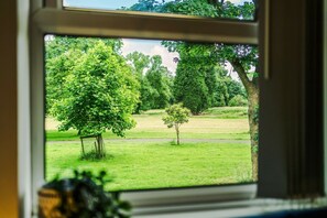 Ein Fenster mit Blick auf ein grasbewachsenes Feld und Bäume.