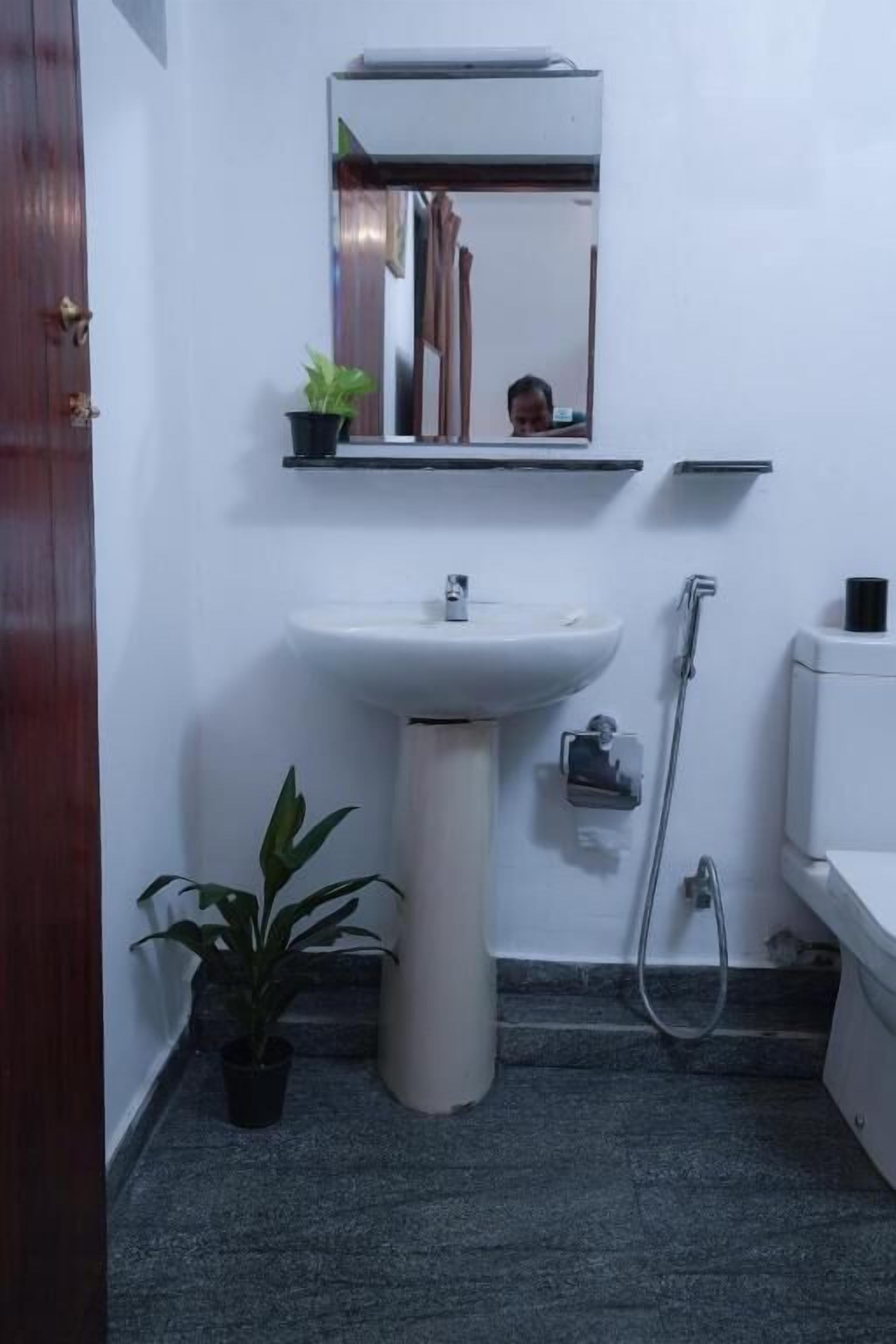 Un baño con lavamanos pedestal, un espejo encima, cabezal de ducha manual, una planta en maceta y un inodoro.