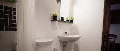 A bathroom with a toilet, sink, and shower area.