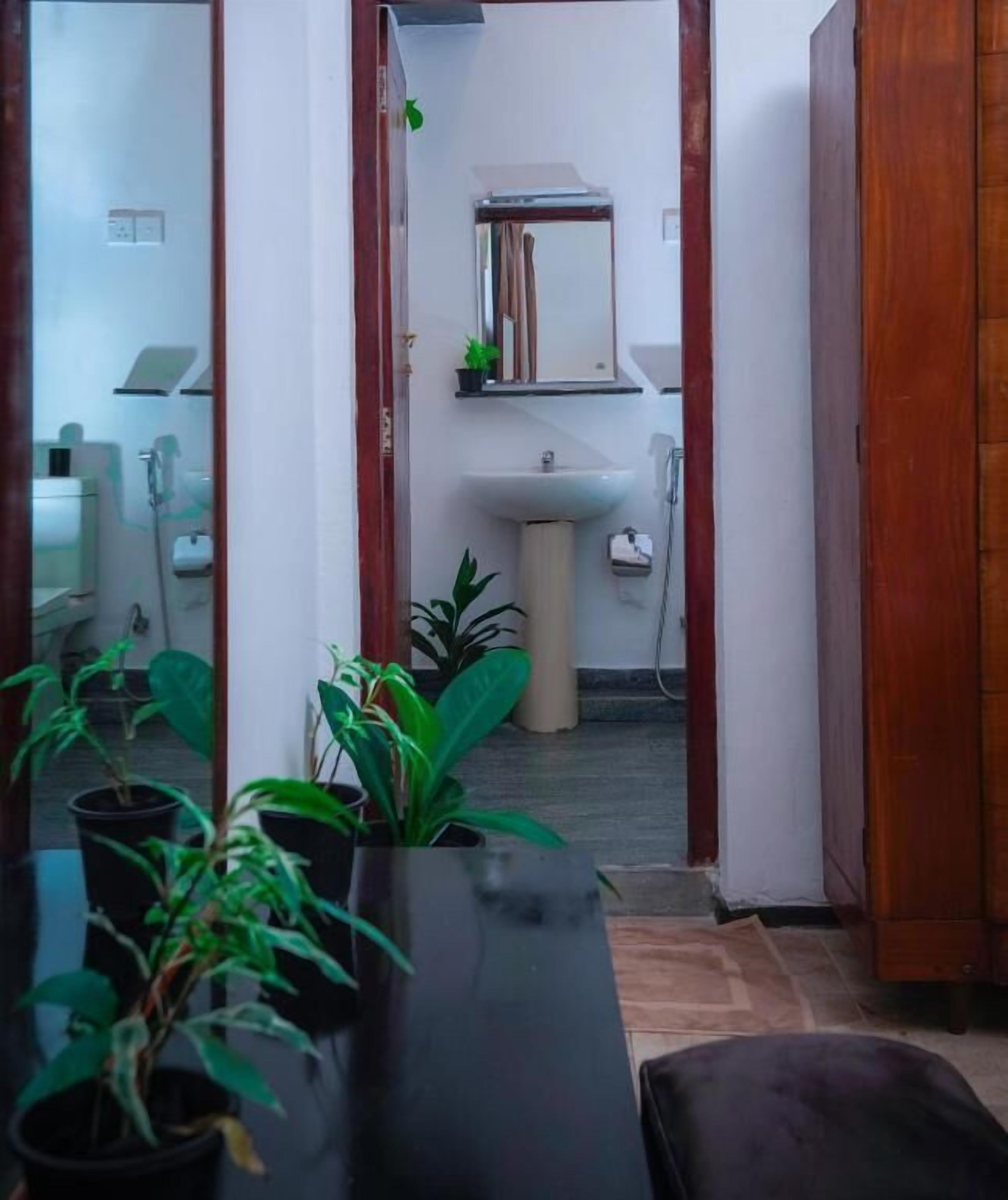 A view of a bathroom with a sink, mirror, and potted plants.