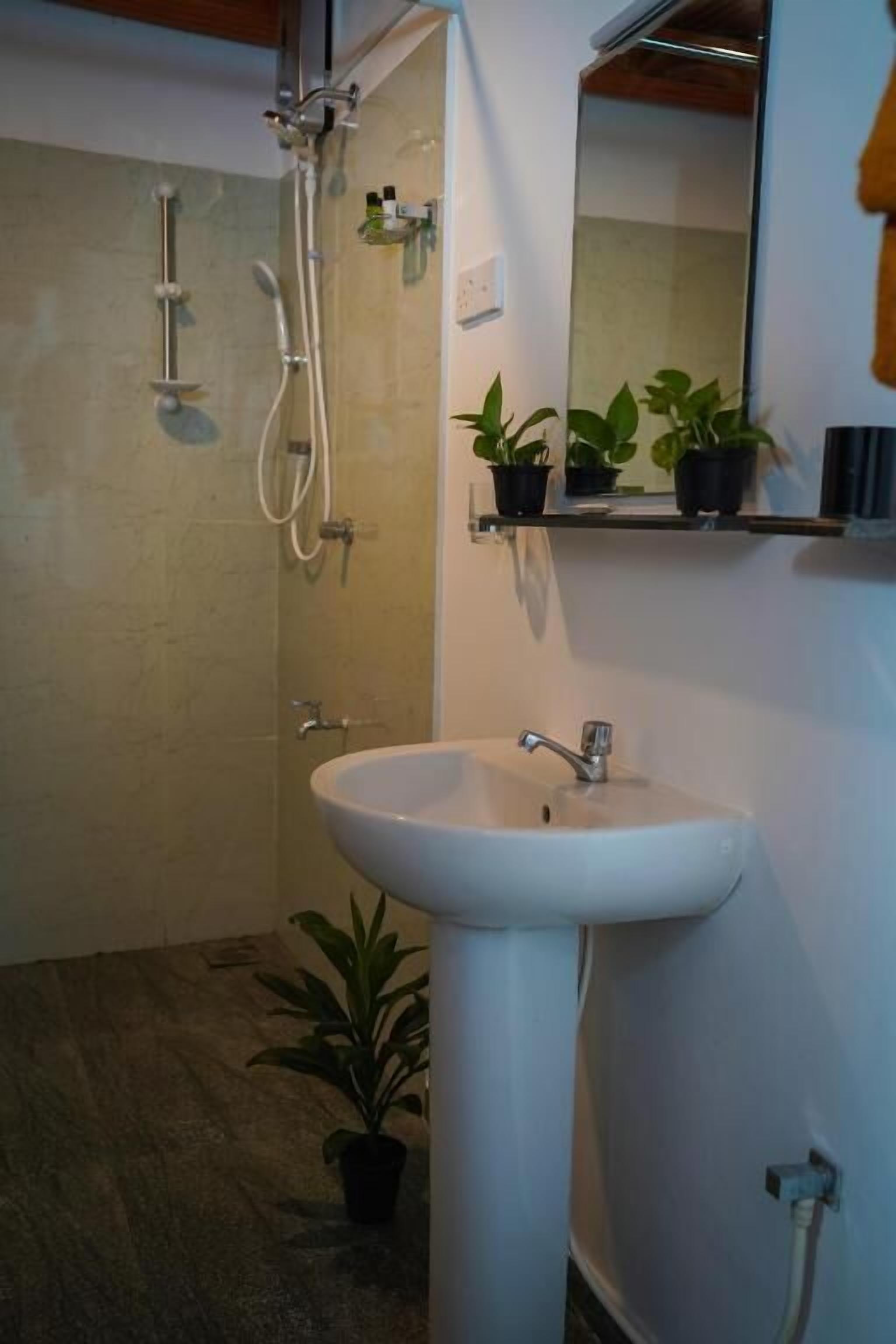 Un baño con un lavamanos blanco, una ducha con cabezal de ducha de mano y un espejo sobre el lavamanos. Hay plantas en macetas en un estante sobre el espejo.