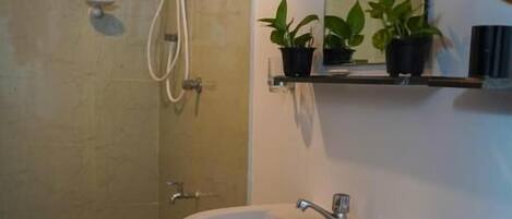 Un baño con un lavamanos blanco, una ducha con cabezal de ducha de mano y un espejo sobre el lavamanos. Hay plantas en macetas en un estante sobre el espejo.
