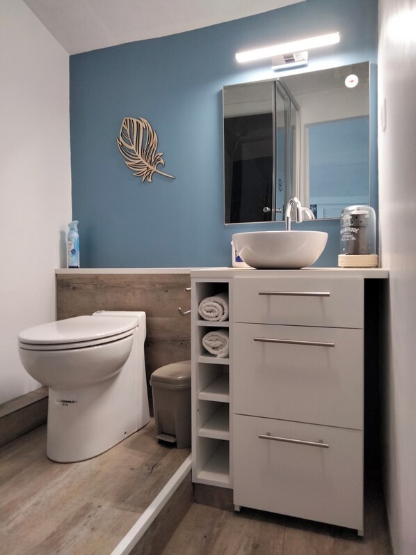 Shower, hair dryer, toilet paper