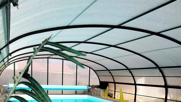 Piscina interior com teto curvo e paredes de vidro transparente, rodeada por plantas em vasos.