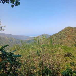 Miscellaneous - Private jungle accommodation with waterfall! (Minca)