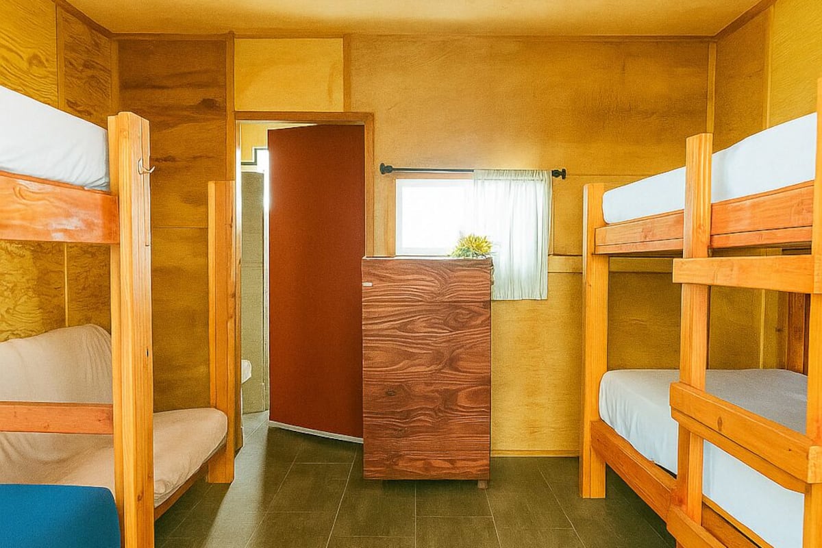 A compact room with bunk beds, a small wooden dresser, and a window with curtains.