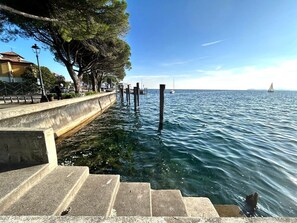 Eine Uferpromenade mit Stufen zum Wasser, einer Baumreihe und einem Segelboot in der Ferne.