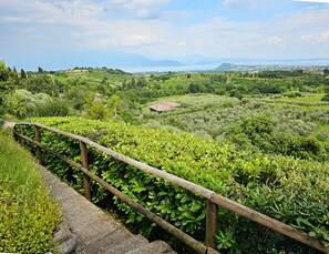 Property grounds - Villa Venti_Exclusive Property with Pool & View (Puegnago sul Garda)