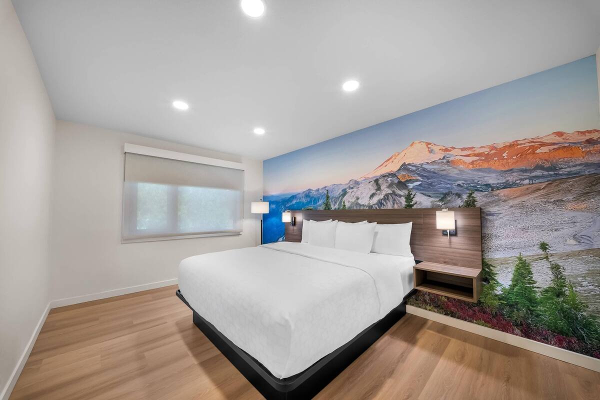 Suite, 1 King Bed with Sofa bed, Non Smoking (Efficiency) | Desk, blackout drapes, iron/ironing board, WiFi (free)
