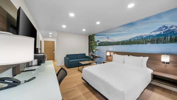 Room, 1 Queen Bed, Accessible, Non Smoking | Desk, blackout drapes, iron/ironing board, WiFi (free)