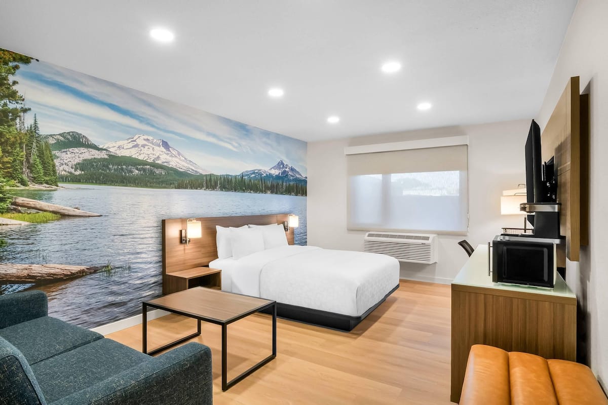 A hotel room with a bed, a desk, a chair, a sofa, a TV, and a window.