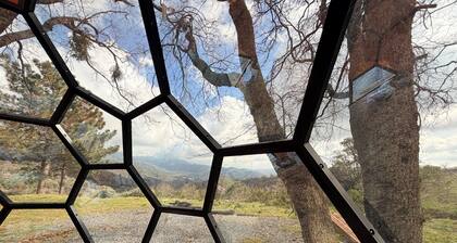 Crystal Clear Dome- 15 minutes to Kings Canyon/Sequoia NP