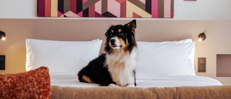 A dog sitting on a bed with a geometric patterned wall behind it.