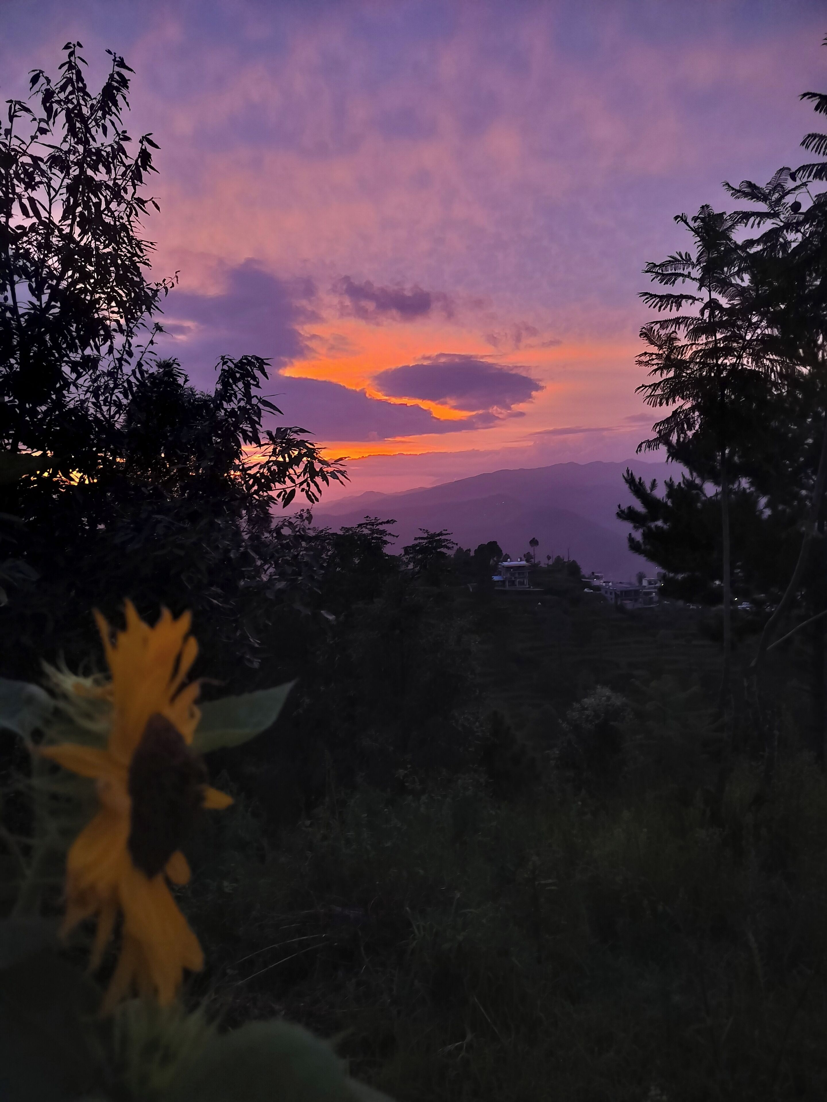 A sunset view with silhouettes of trees and distant mountains.