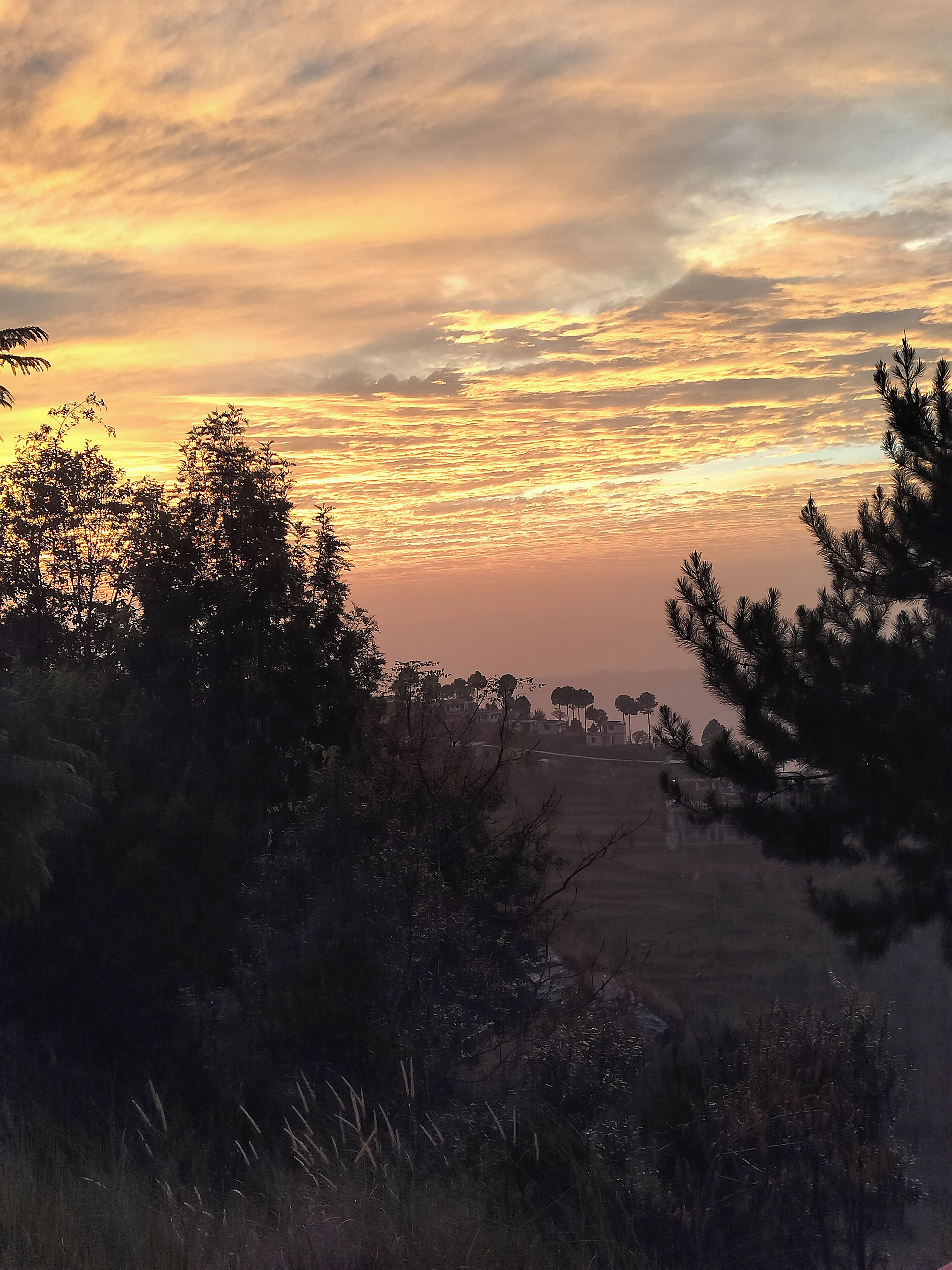 A sunset over a rural landscape with trees and a distant view of houses.