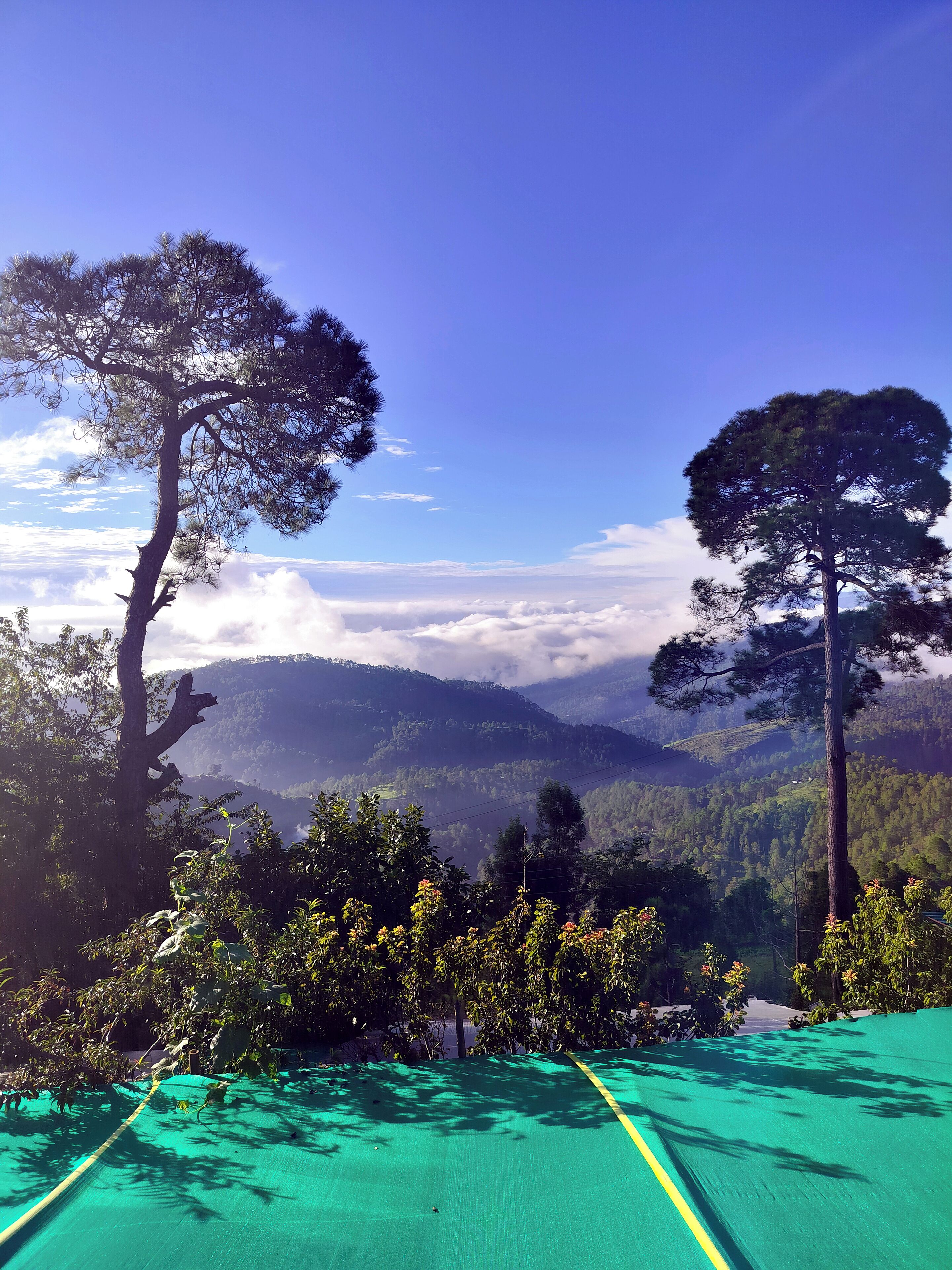 A view of a mountainous landscape with two prominent pine trees and a green-roofed building in the foreground.
