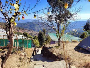 Khuôn viên nơi lưu trú