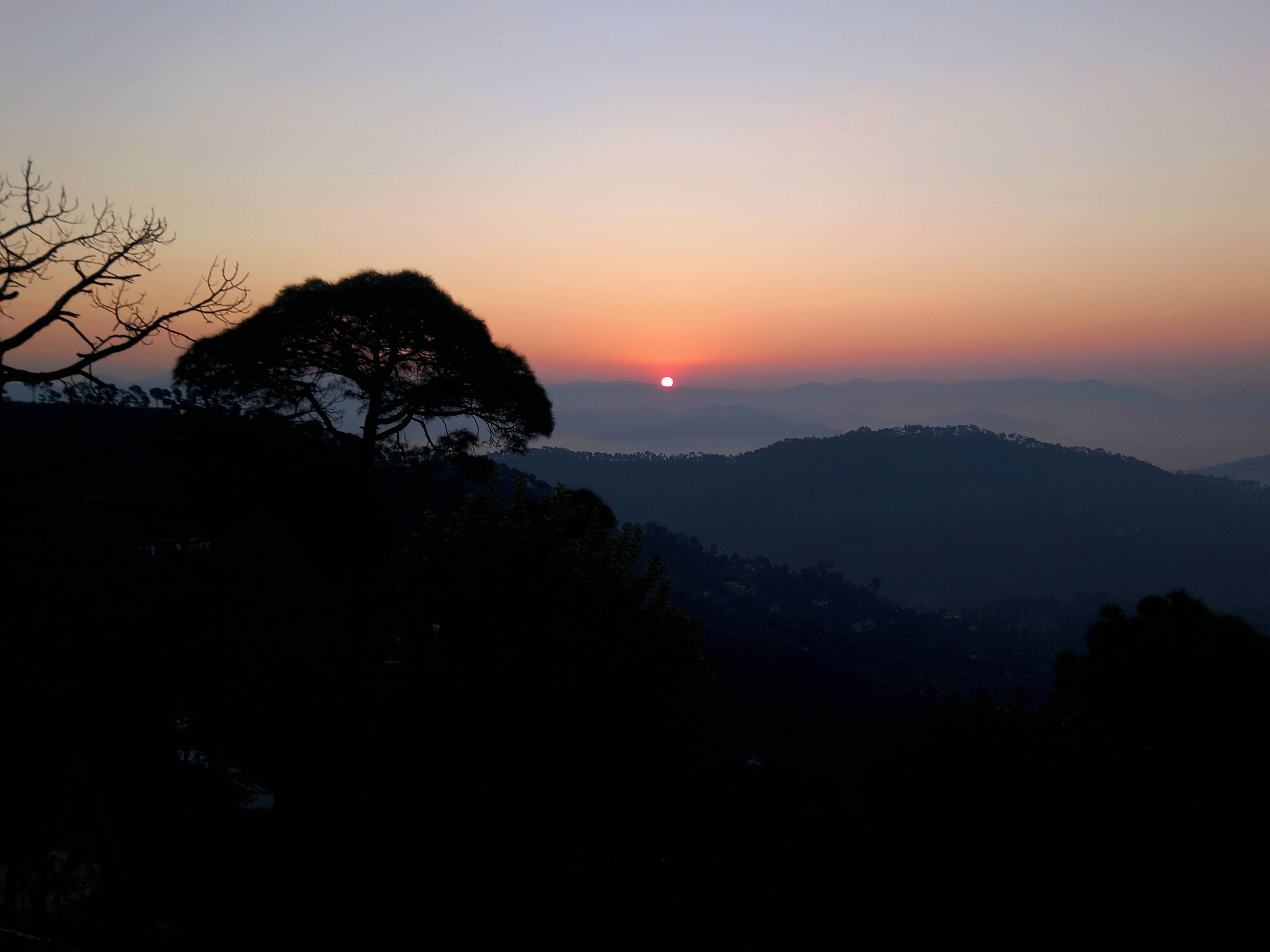 A sunset over a mountainous landscape with a prominent tree silhouette.
