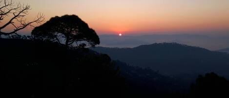 A sunset over a mountainous landscape with a prominent tree silhouette.