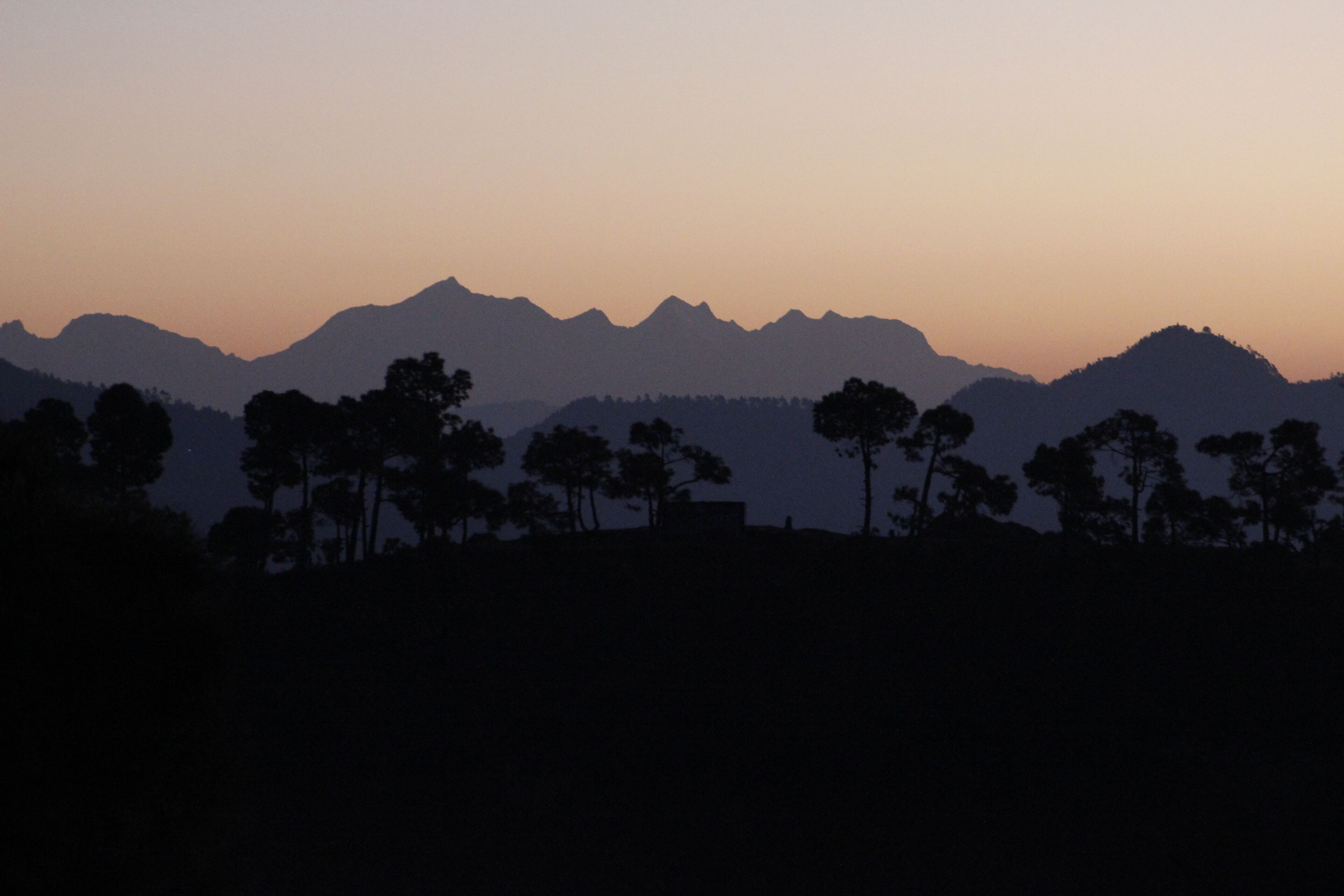 Un paysage montagneux au crépuscule, avec les silhouettes d’arbres et des pics lointains.