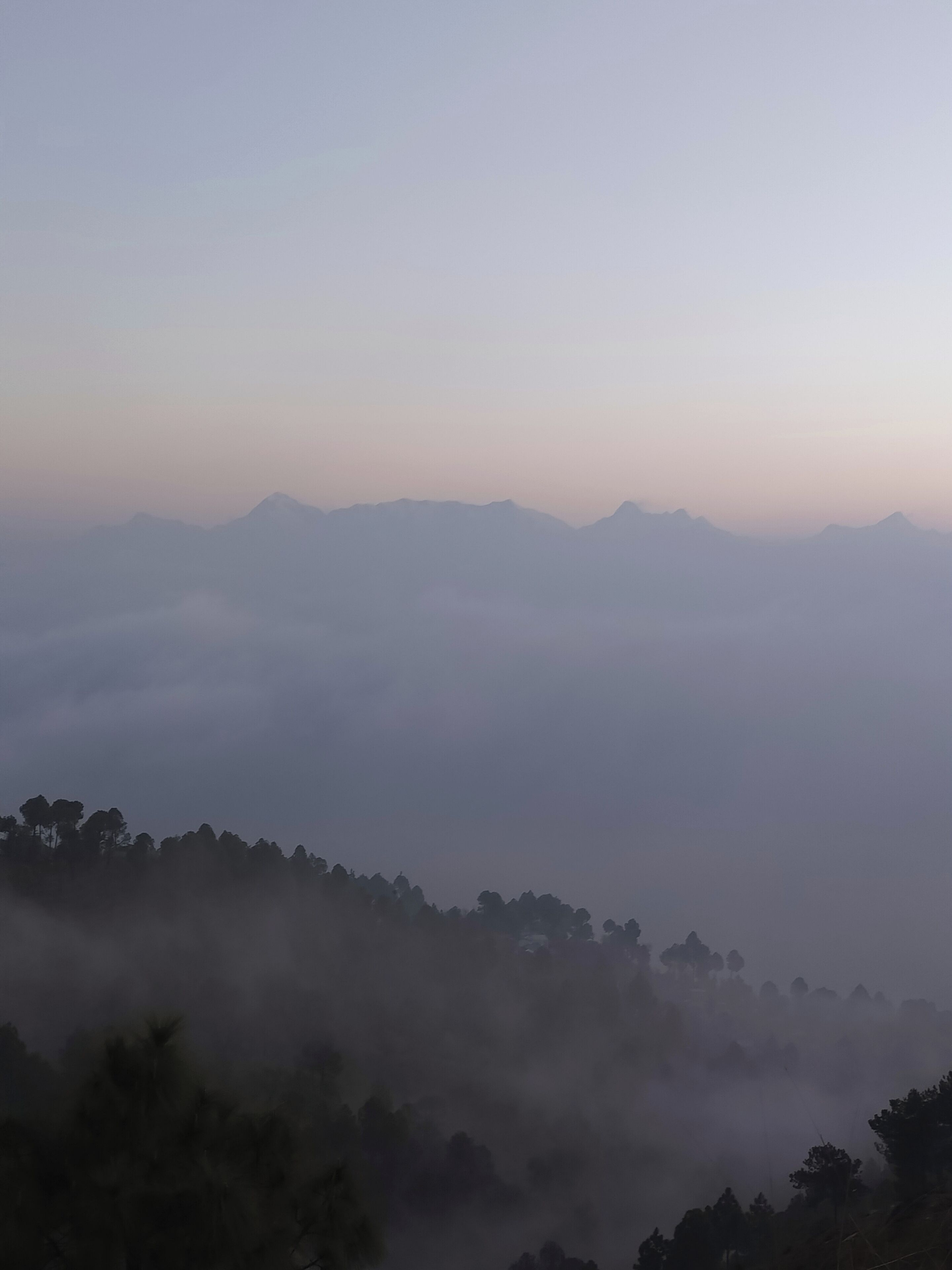 A mountainous landscape with a forested area and a clear sky.