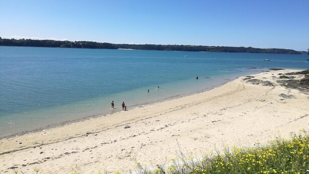 Ein Strand mit klarem Wasser, sandigem Ufer und einer fernen Baumlinie.