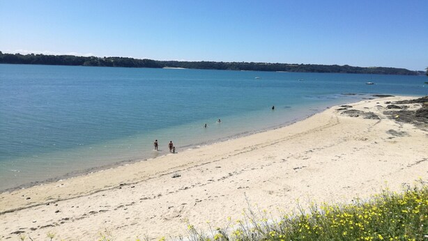 A beach with clear water, sandy shore, and a distant shoreline with trees. - Lovely holiday cottage in Corseul (Corseul)